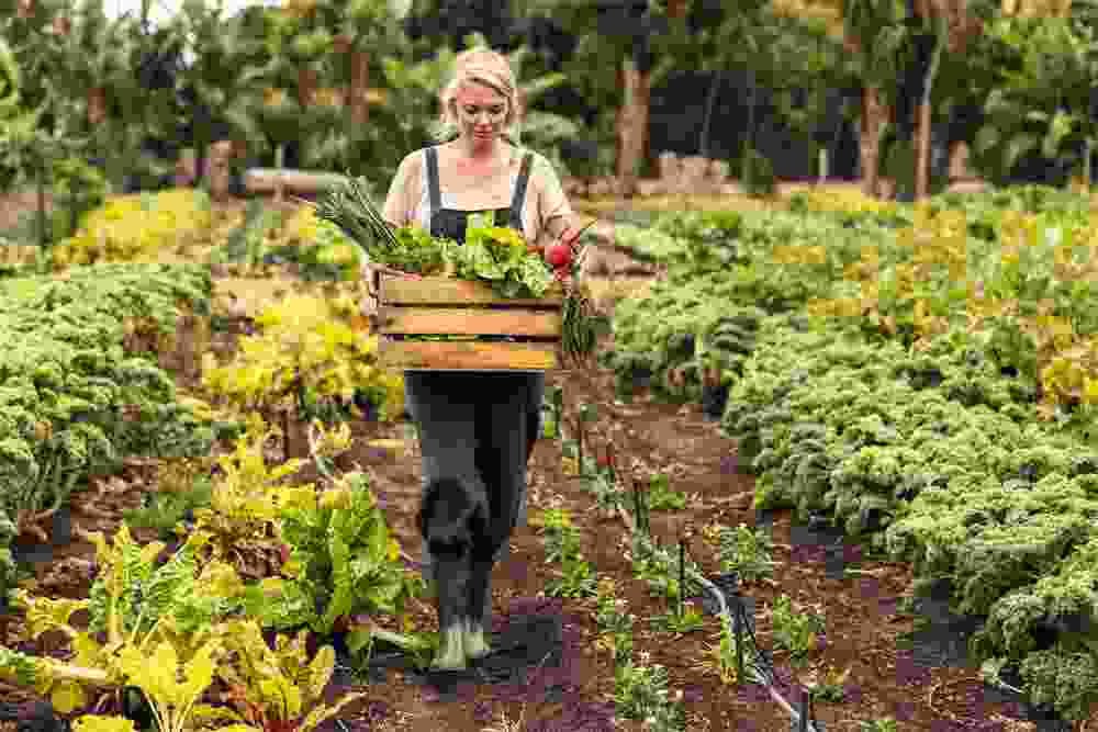 Green Pakistan Nature Farming