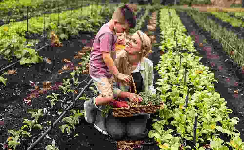 Green Pakistan Nature Farming