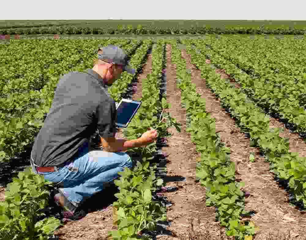 Green Pakistan Nature Farming