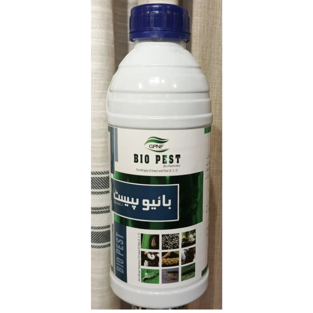 Shop Primary Image